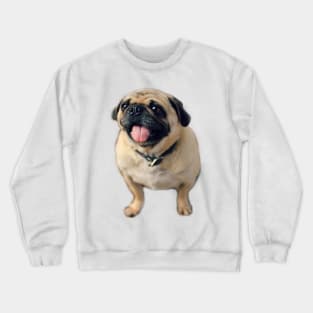 Pug Pull Dog Pet Crewneck Sweatshirt